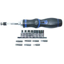 16PC 1/4" DRIVE ROTATABLE RATCHETING BIT SET DRIVER